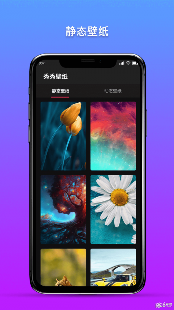 秀秀壁纸安卓版