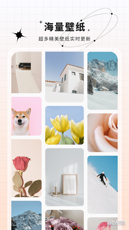 安卓主题动态壁纸安卓版