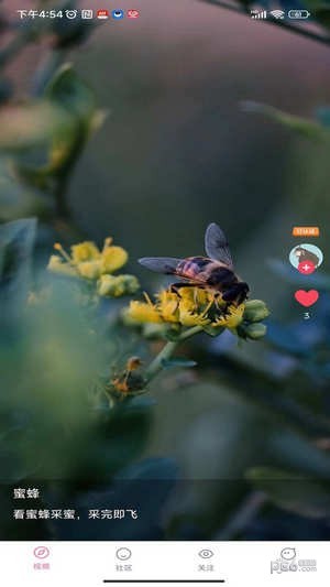 花谷视频安卓版