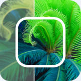 数创模糊照片修复安卓版