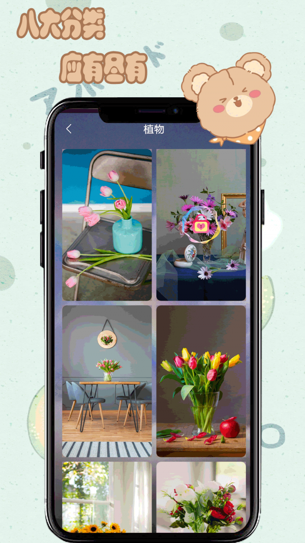 元气小熊壁纸安卓版