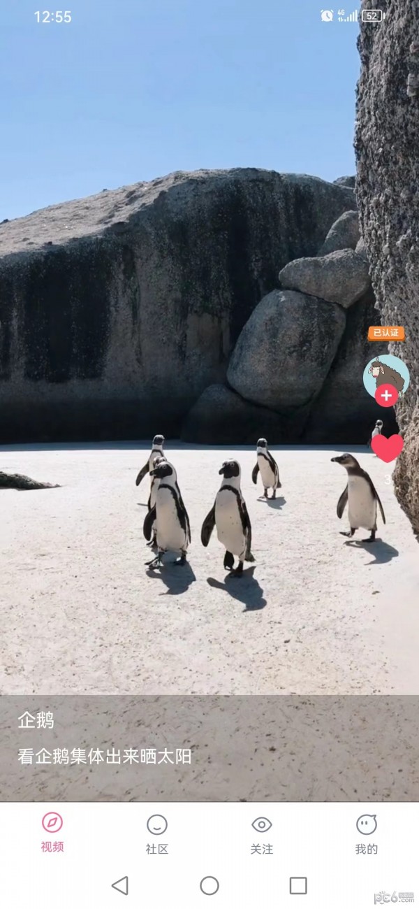 聚宝短视频安卓版