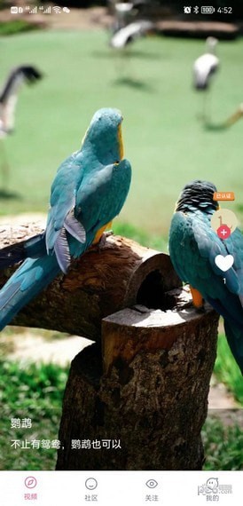 好运短视频安卓版