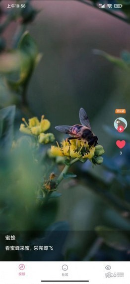 千山视频安卓版