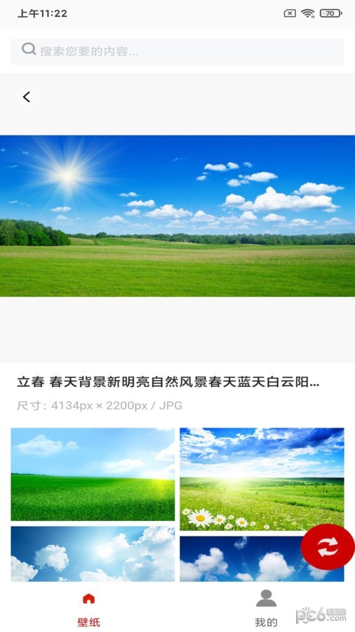 白鸽壁纸安卓版