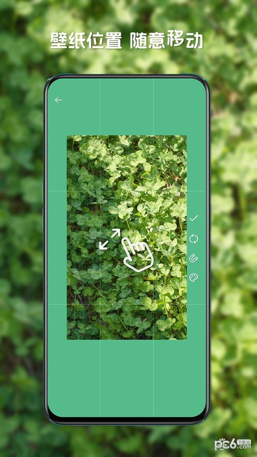 星咩视频壁纸安卓版