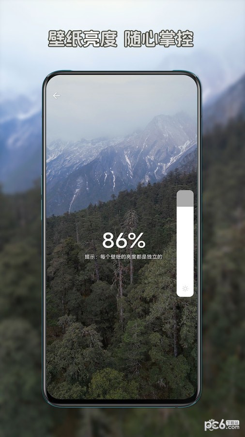 星咩视频壁纸安卓版