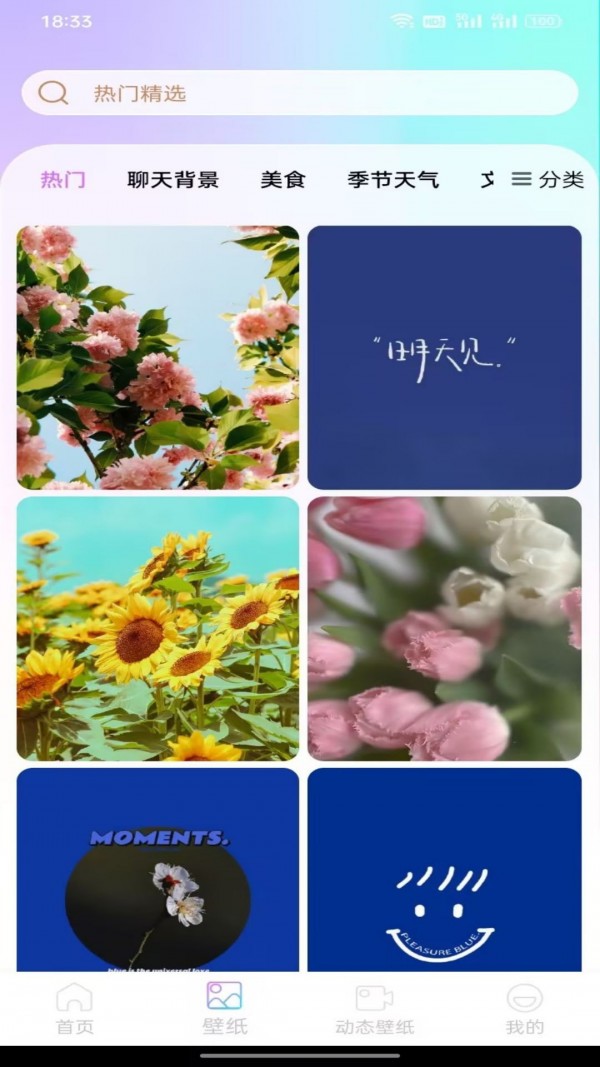 最美手机壁纸安卓版