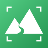 雨林壁纸安卓版