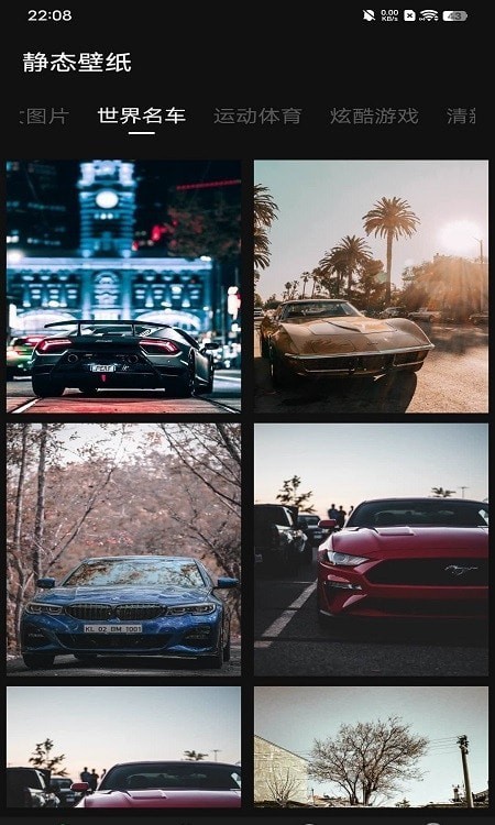 雨林壁纸安卓版