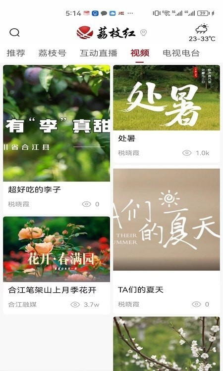 合江荔枝红安卓版