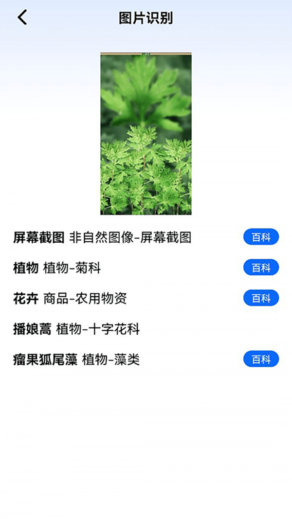 神农百草园识别安卓版