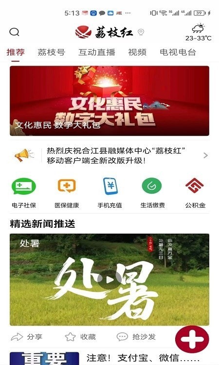 合江荔枝红安卓版