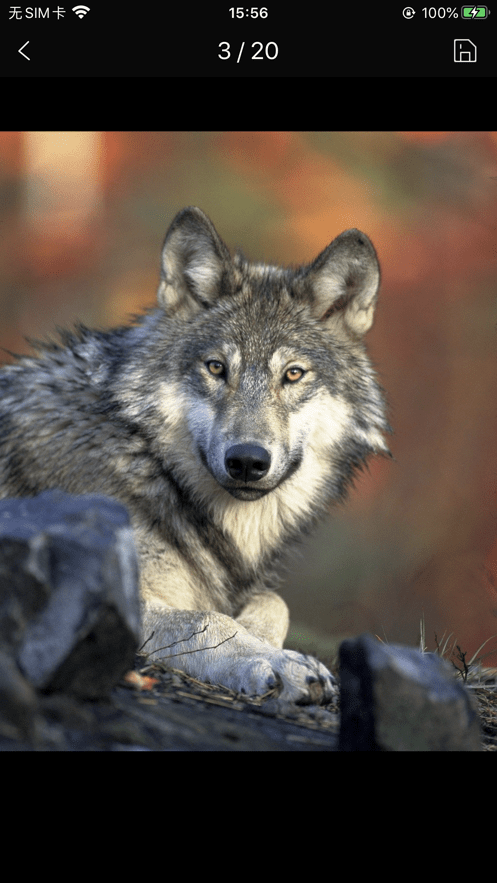 简单壁纸库安卓版