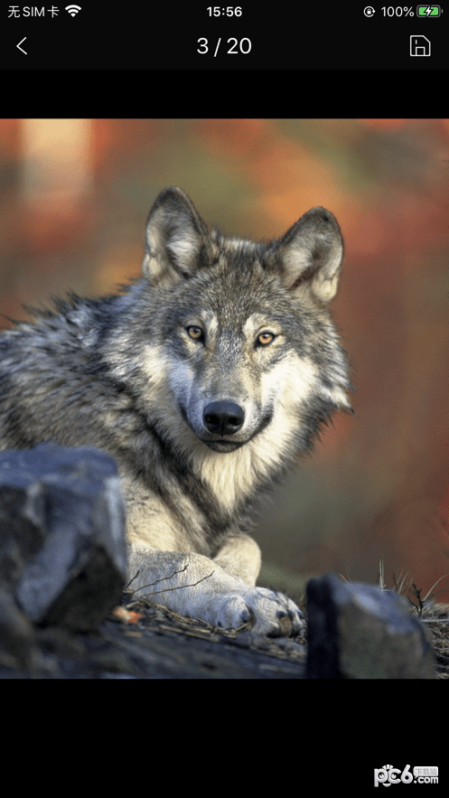 简单壁纸库 简单壁纸库