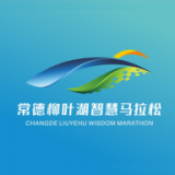 智慧德马软件