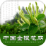 中国金属表面处理平台软件
