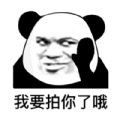 拍一拍生成器软件