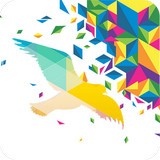 一个奇鸽船新版本软件
