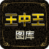 王中王家居广场软件