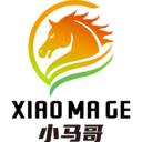 小马哥审车软件
