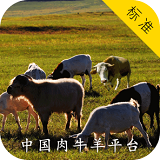 中国肉牛羊平台软件