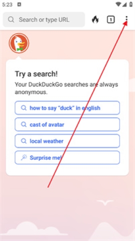 duckduckgo duckduckgo