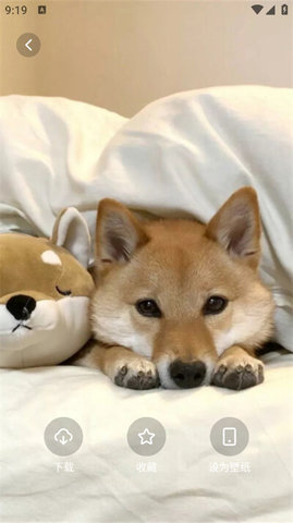 风铃壁纸 风铃壁纸