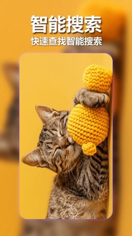 壁纸宝盒 壁纸宝盒