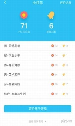 综合素质软件