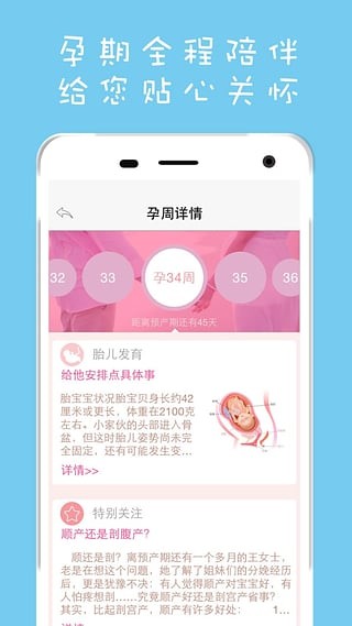 iball软件
