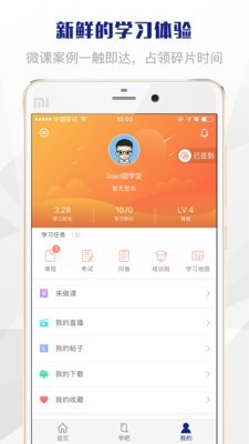 SEES软件