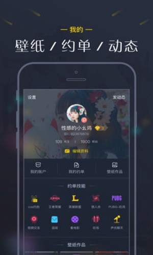 次元壁桌面宠物软件