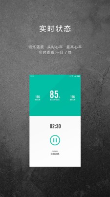 FIZIKO软件