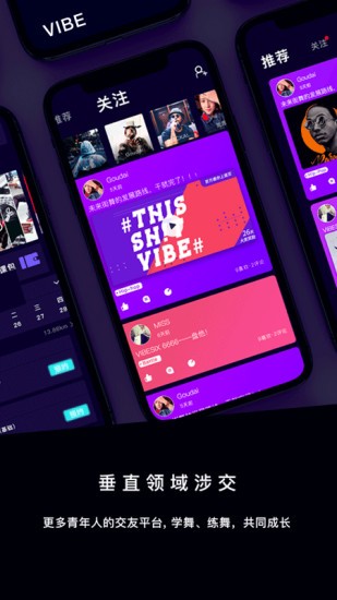 Vibe Icon Pack软件