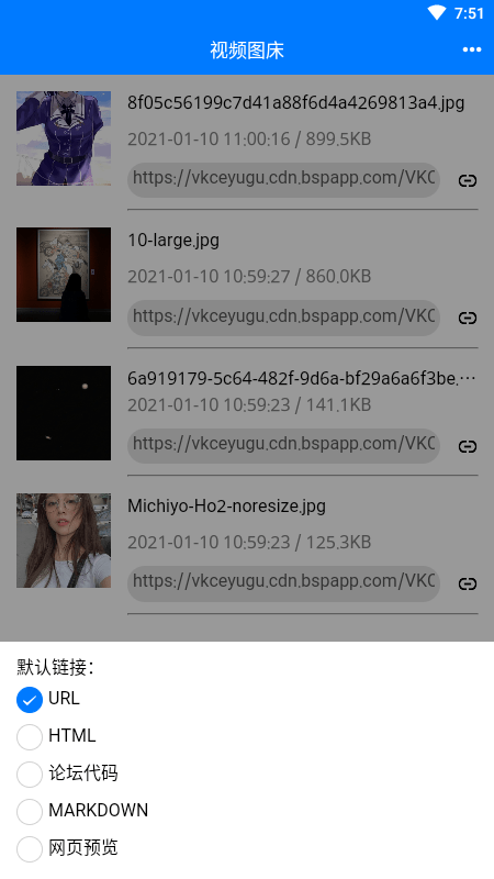 视频图床软件