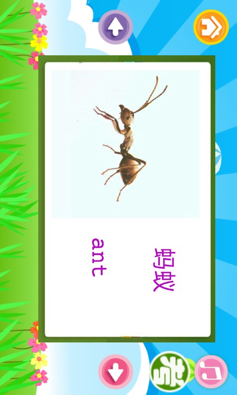 儿童英语听力软件