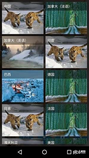daily10软件