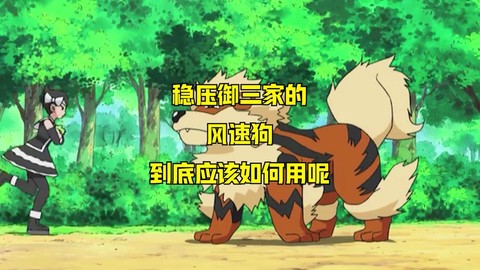 口袋妖怪怎么用补丁