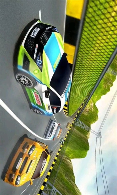 狂野风暴赛车安卓版