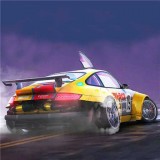 狂野风暴赛车安卓版