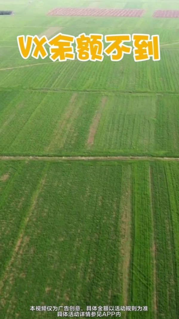 安逸的假期红包版安卓版