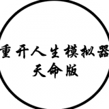 人生重开模拟器轮回之外安卓版