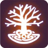 代号RW手游