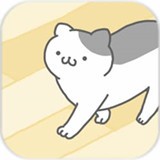 猫咪很可爱手游