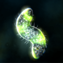 细胞进化星球手游