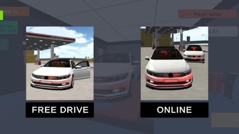 帕萨特城市 帕萨特城市