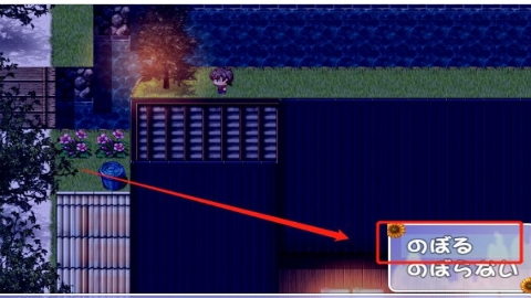 我暑假的秘密生活 我暑假的秘密生活