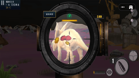 王者狙击使命 王者狙击使命