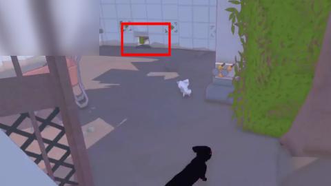 大城小猫 大城小猫